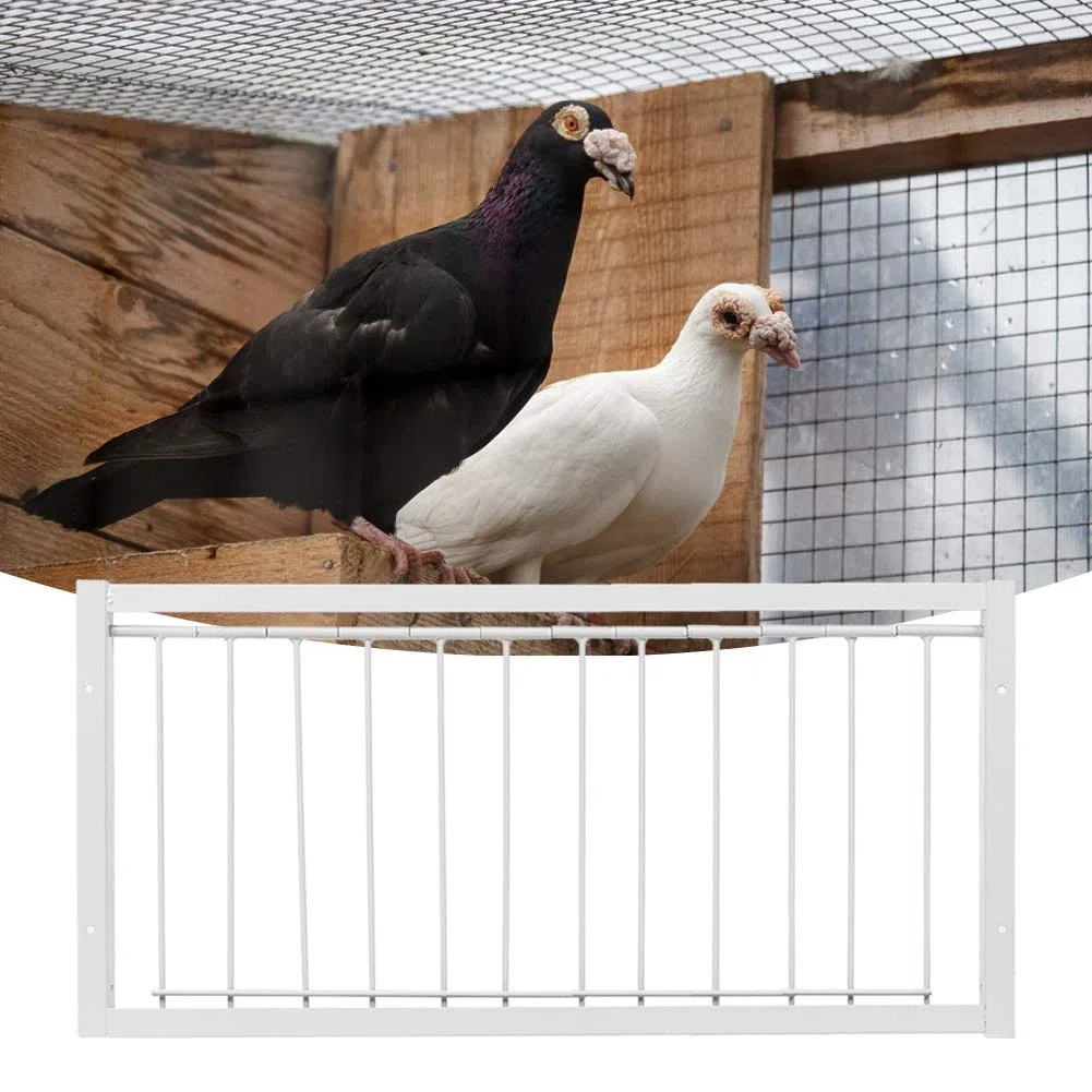 Trampa en T para jaulas, Puerta para Palomas, Barras de Alambre, Marco de Entrada, Trampa en T para Puerta de casa(53.5 * 26cm)