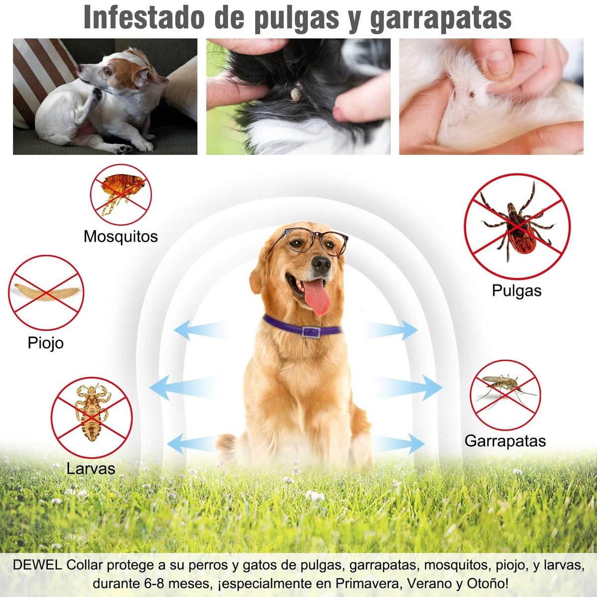 DEWEL Collares Antiparasitarios, Collares contra Pulgas y Garrapatas para Perros y Gatos, Collares Antipulgas Ajustable para Mascotas (Morado, 63.5 cm)