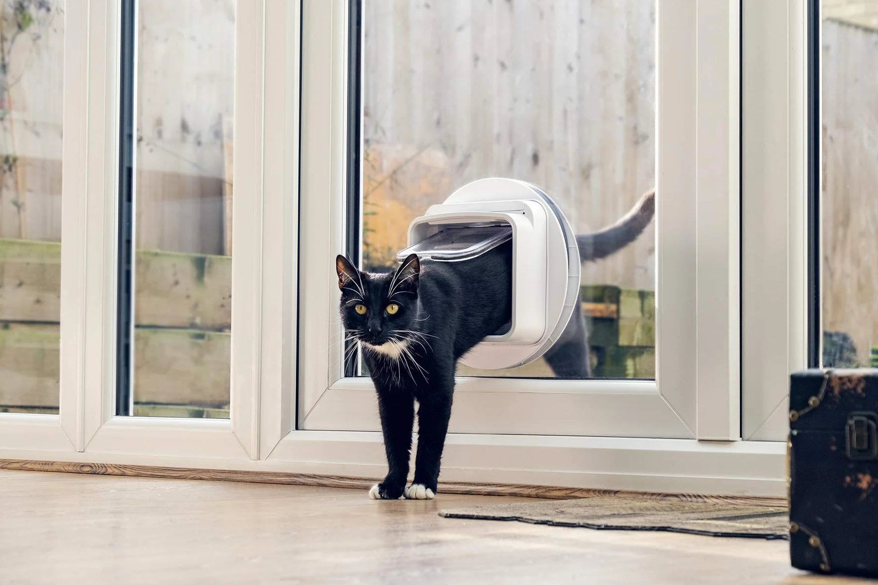 Gatera SureFlap Connect Sure Petcare con Lector de Microchip; tecnología DualScan; con aplicación móvil; para Puertas, Ventanas y Paredes; Blanco; hub Conector; Necesita 4 Pilas AA (no Incluidas).