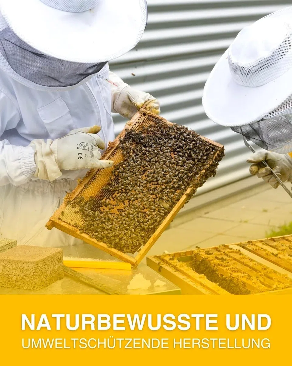 Pan de abeja del Norte Perga 250 g – Producto natural de la casa Imkerei Sievers – Perga polen de abeja – rico en proteínas vitaminas, minerales, pan de abeja para comer – polen de flores