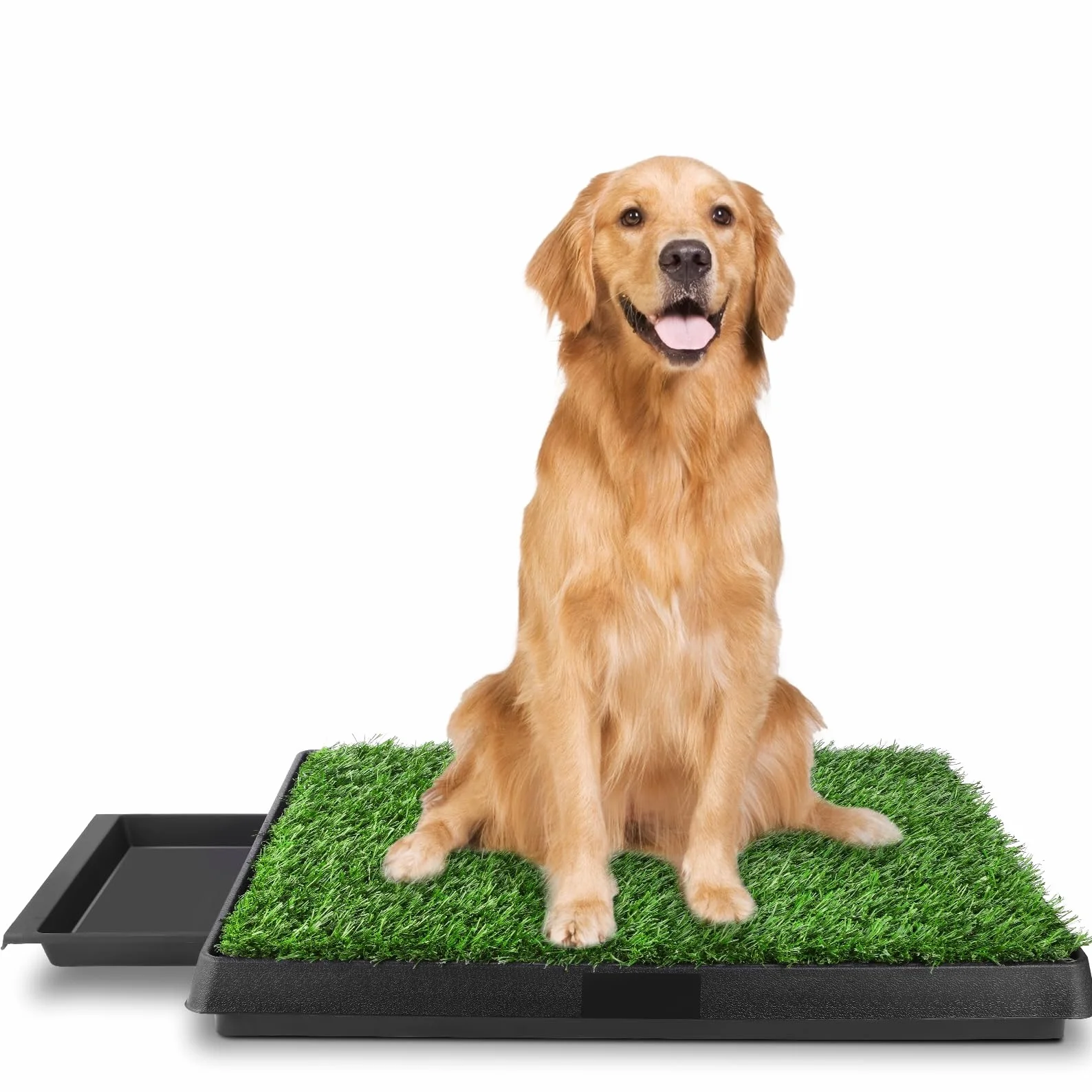 Inodoro para Perros Césped Entrenamiento de Hierba para Mascotas Doméstico 63 x 50 x 7 cm
