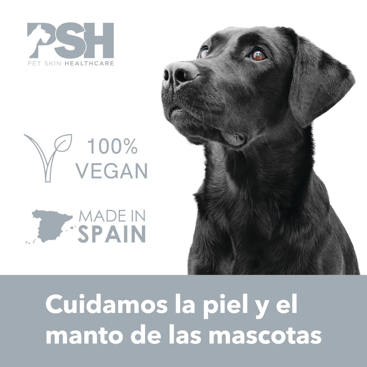 PSH Sky Pink - Agua de Perfume para Perros y Gatos - Fragancia Floral y Sofisticada - No Reseca la Piel - Incluye Mini Envase Recargable para Paseos - 50 ml