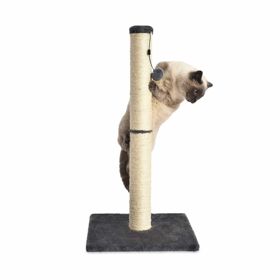 Amazon Basics Rascador para gatos de interior, estándar con juguete colgante, 80 cm, gris
