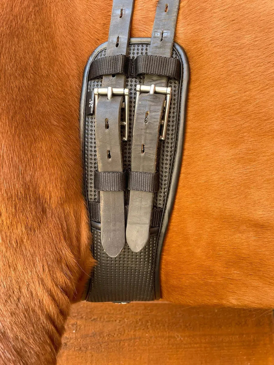 Preto Cincha de neopreno sintético para doma anatómica con extremos elásticos, contorno de sillín equino para caballo, antirozaduras y antiagallas, comodidad de amortiguación, rendimiento ergonómico,
