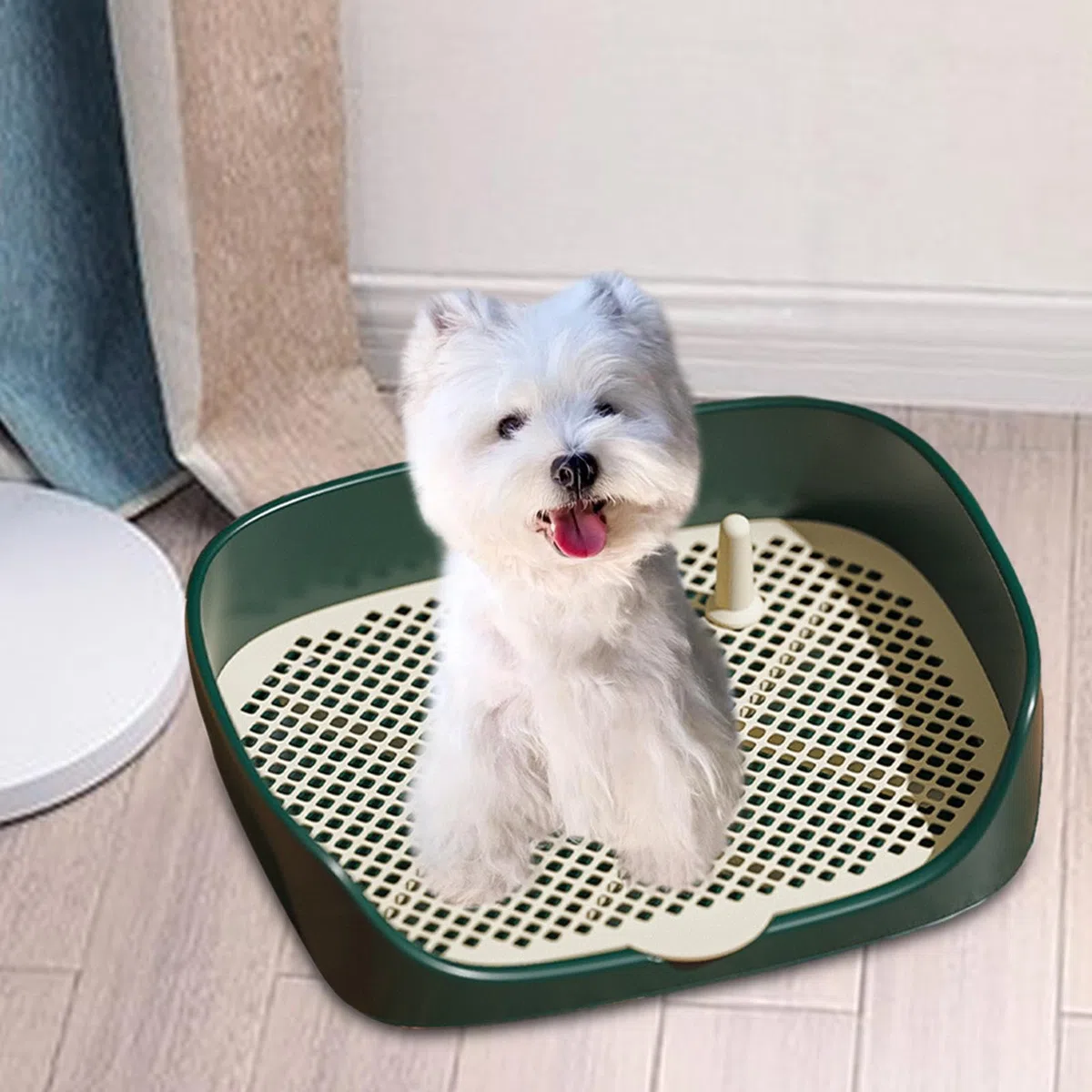Bandeja de Entrenamiento para Orinal para Cachorros, Inodoro para Perros, Mantiene Las Patas Secas Y Los Pisos Limpios, Caja de Arena, Rincón de Entre, Verde l