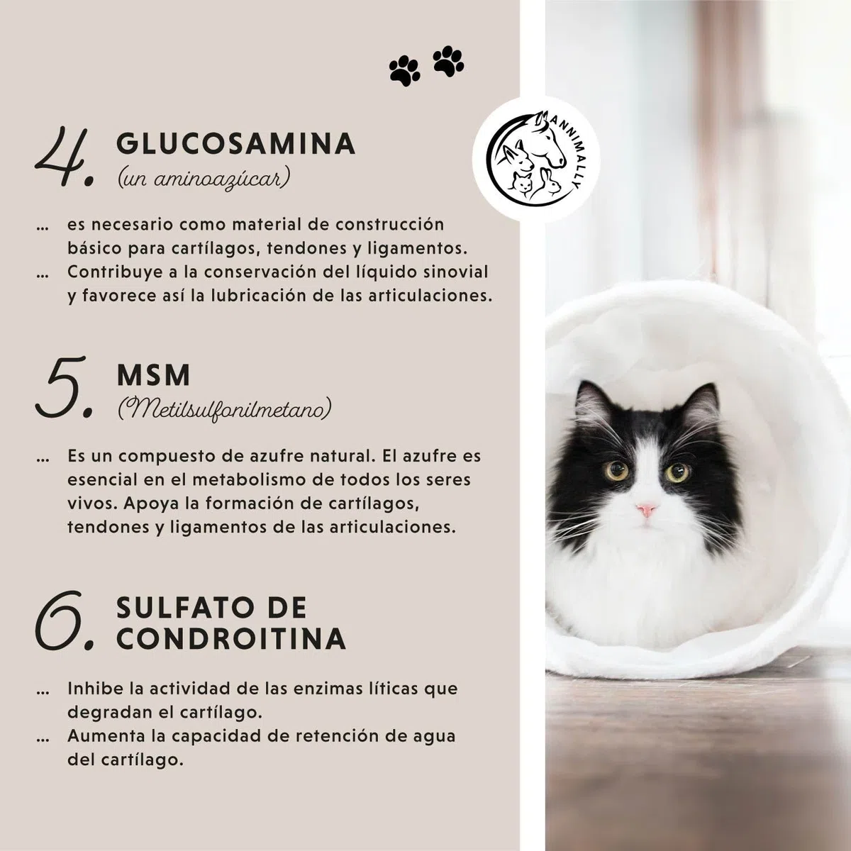 Annimally Polvo Articular Gatos | 120g para 4 Meses - La Alternativa a Las tabletas para articulaciones. Polvo articulaciones saludables con mejillón de Labios Verdes, MSM, Garra del Diablo