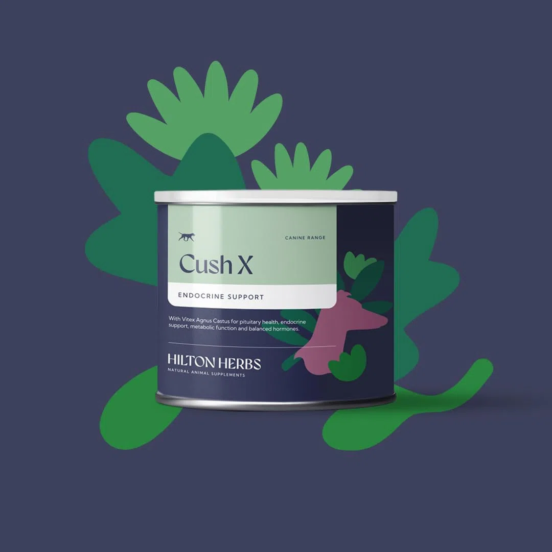 Hilton Herbs Cush X for Dogs - 60 g