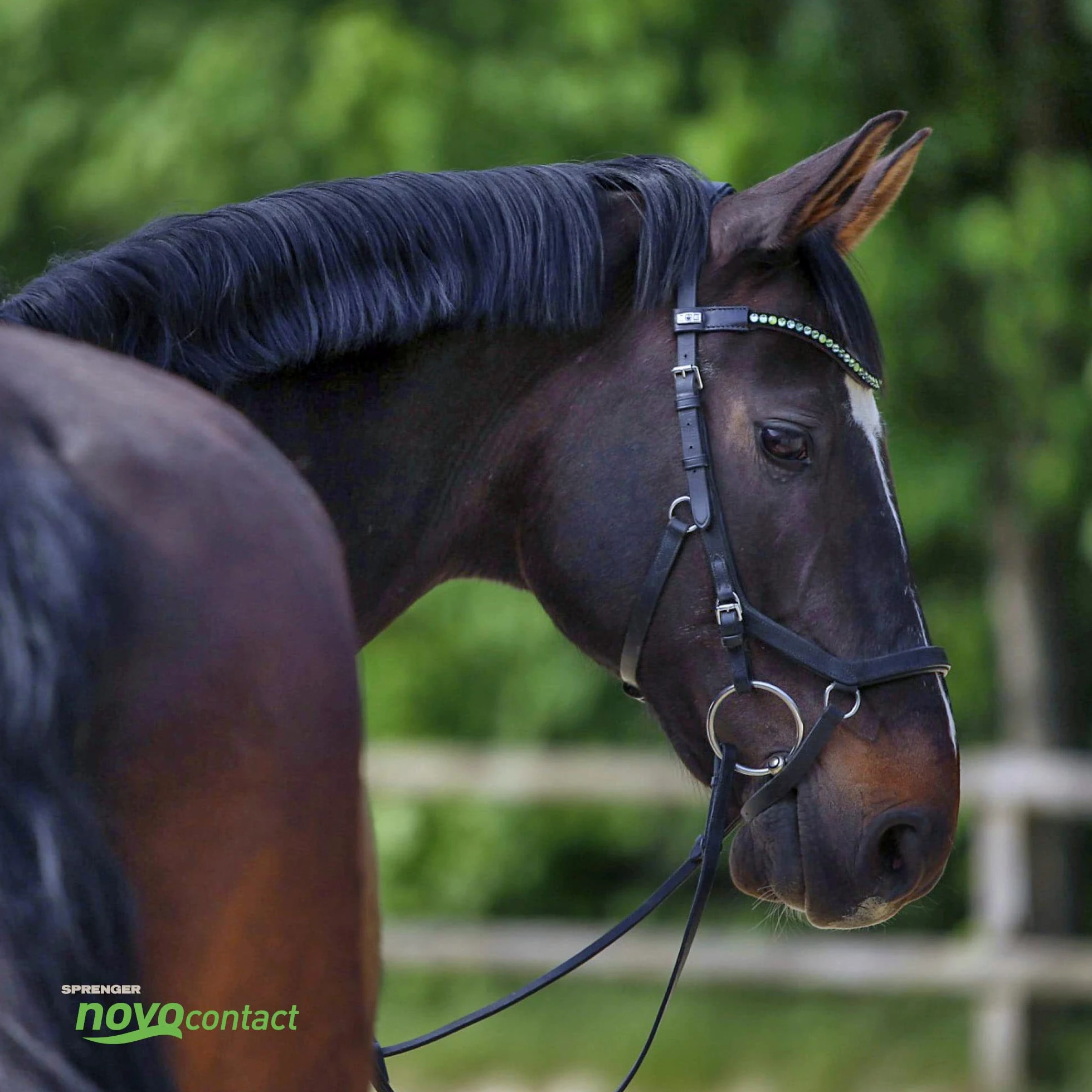 Sprenger - NOVOcontact Single Jointed Snaffle - 14mm - SENSOGAN