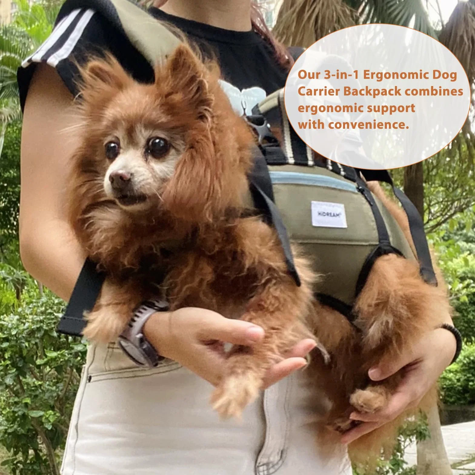 Mochila de soporte ergonómico para perros, patas horizontales hacia delante y hacia atrás, mochila convertible 3 en 1 manos libres para cachorros, hasta 15 kg (verde, XL)