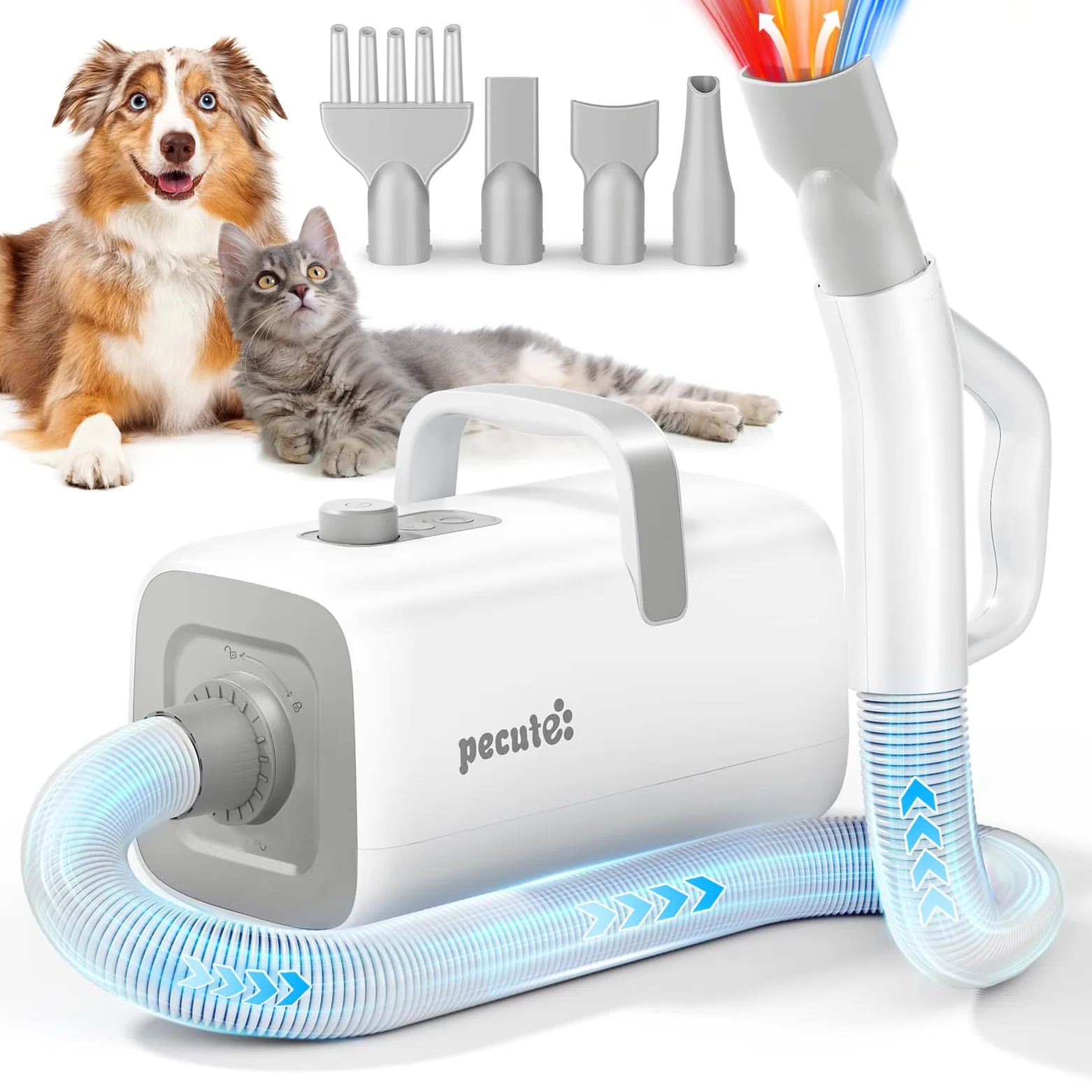 Pecute Secador de Perros Profesional, Velocidad y Temperatura Ajustables, 4 Boquillas, Modo de Ciclo Frío-Tibio-Caliente, Secador de Pelo para Aseo Ducharse Secarse