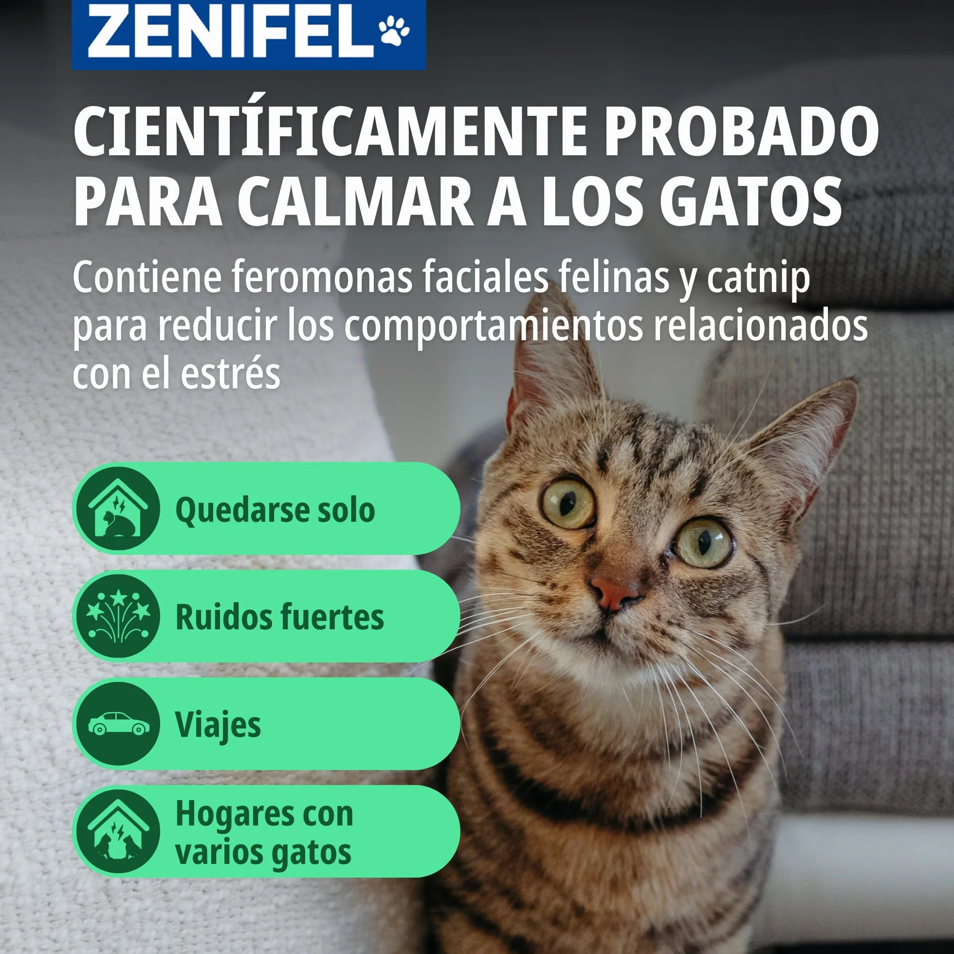 Virbac Zenifel Spray feromonas para Gatos - Antiestrés con feromonas y Catnip - Spray Relajante de acción rápida - 60ml