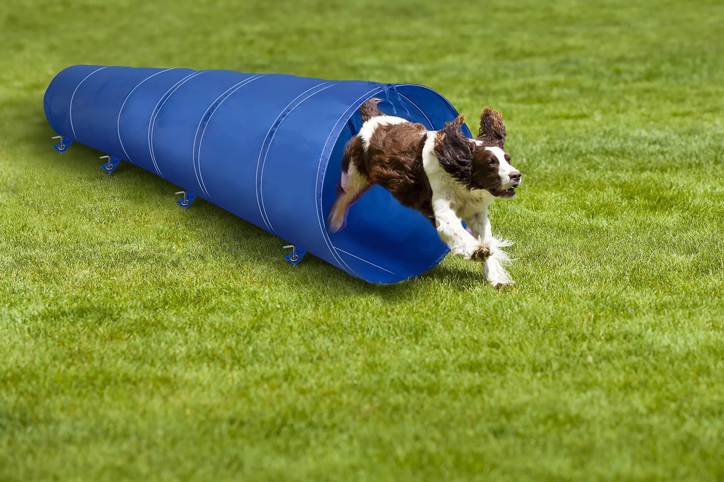 maxxpro Túnel para Perros – Agility Set – Plegable – Ligero – con Bolsa de Transporte y piquetas – 3M