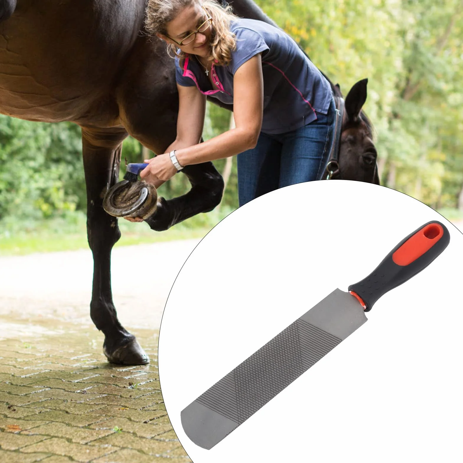 Herramienta Recortar Pezu?as 8 Pulgadas Acero Alcarbon Lima Herradura Ergonomica Profesional para Caballo Herrador