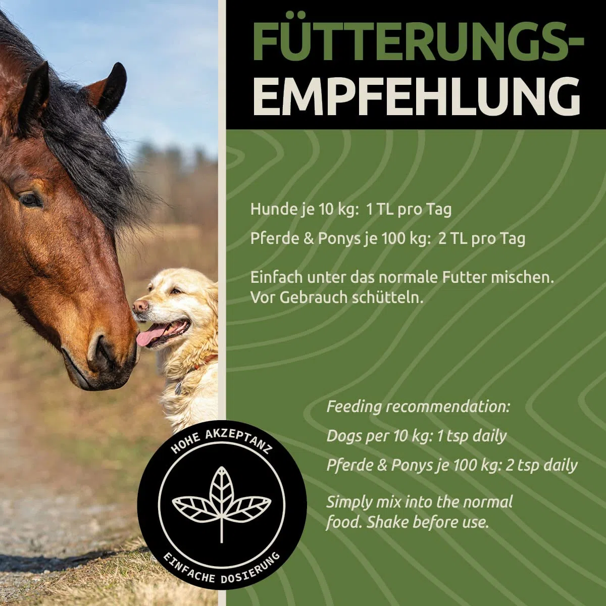 GreenPet Aceite de Salmón para Perros y Caballos 5 litros - Aceite Omega 3 - Aceite de Pescado para un Brillo Natural y Cuidado del Pelaje - Ayuda con la Piel Seca