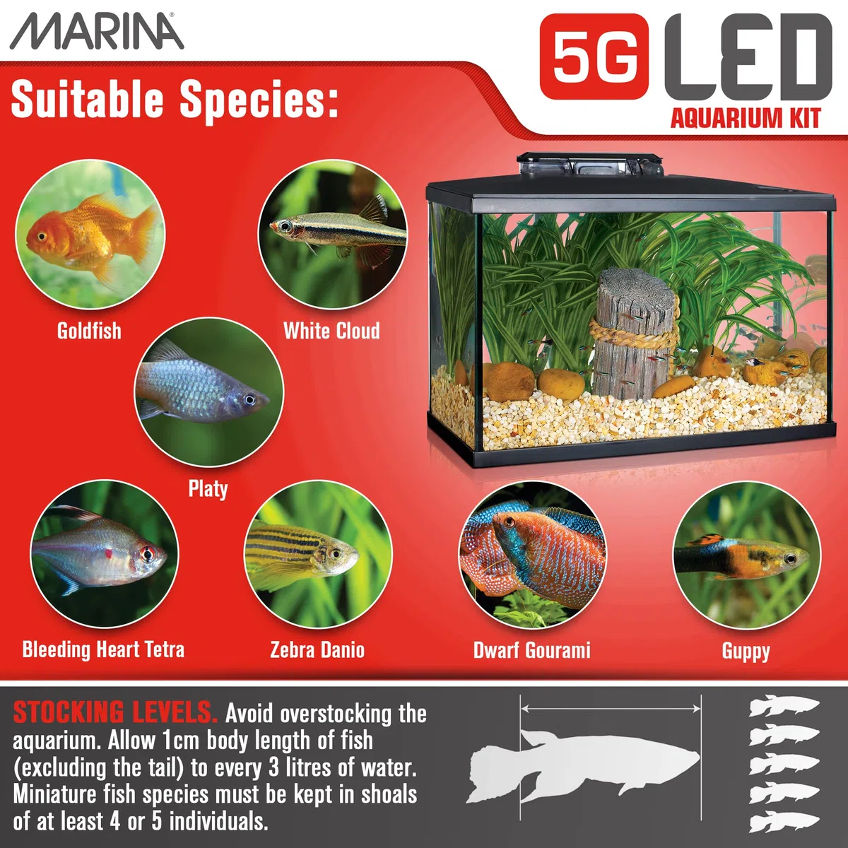 Marina Kit de Acuario con Iluminación LED 5G, 19 L