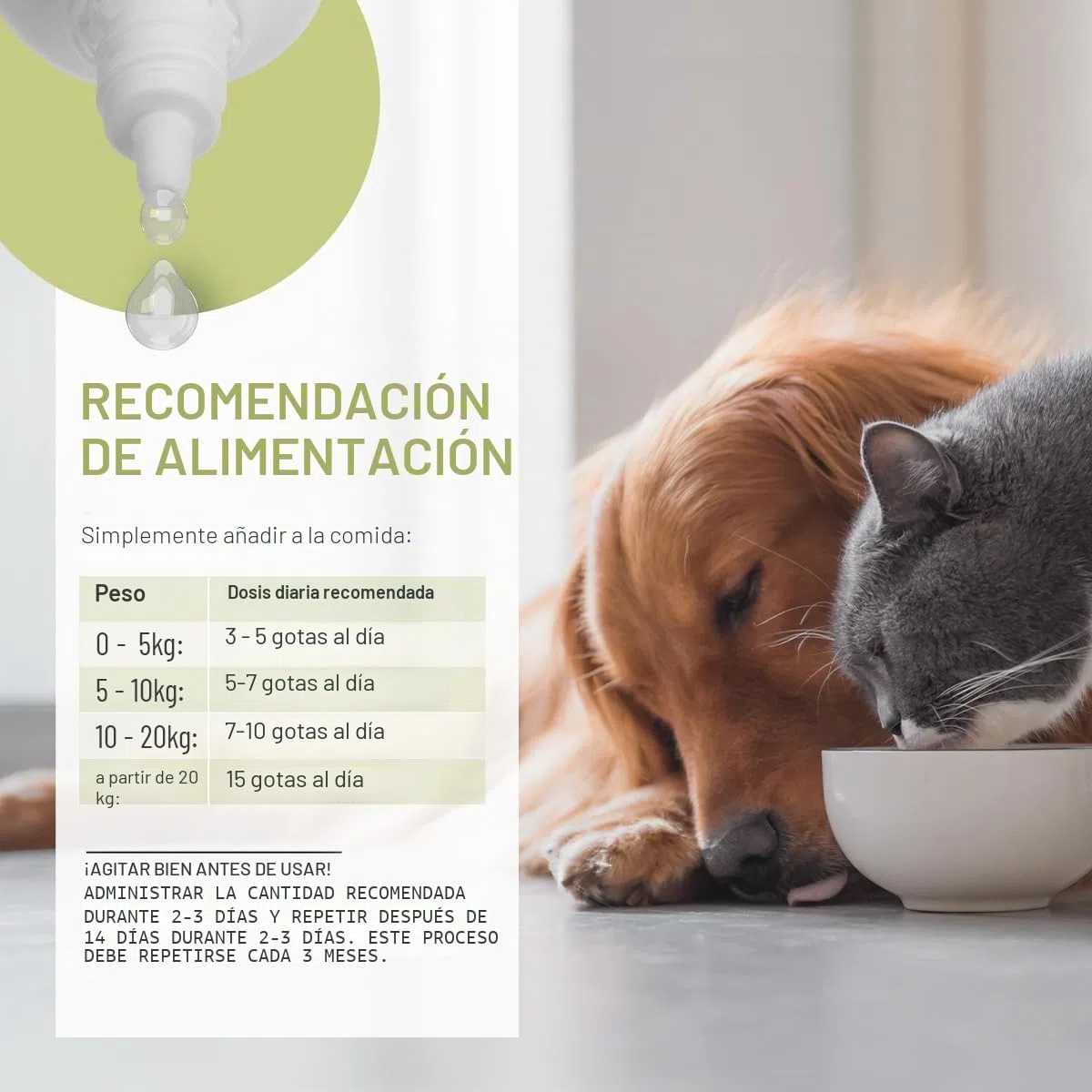 ReaVET Wurm-Kraut Líquido 100ml – para perros y gatos, con artemisa de gusano real (Artemisia Absinthium) en fórmula de plantas basada en receta, adecuado para todas las mascotas