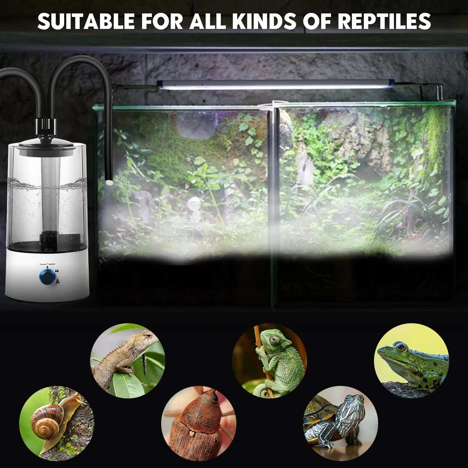 4L Humidificador para Terrarios de Reptiles, Nebulizador con doble Barril Extensible y Ajuste de Pulverización en tres Etapas, Humidificador para Terrarios de Reptiles