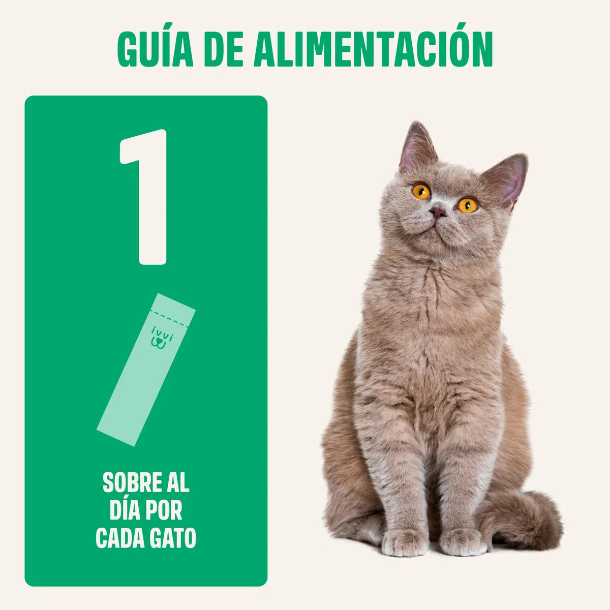 ivvi Esencia Digestiva para Gatos – 30 Snacks Cremosos con Atún, Calabaza, Linaza y Postbiótico derivado de Probióticos – Digestión, Flora Intestinal y Bienestar – 450 g