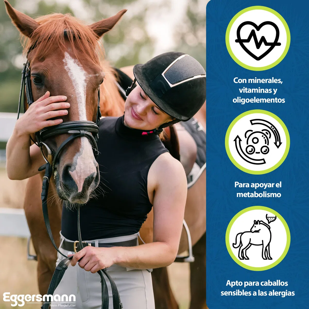 Eggersmann Mein Pferdefutter Terminal de Hierbas sin Cereales, 8 kg, sin Cereales, alimento Mineral para Caballos, para apoyar el metabolismo, Apto para Caballos sensibles a Las alergias