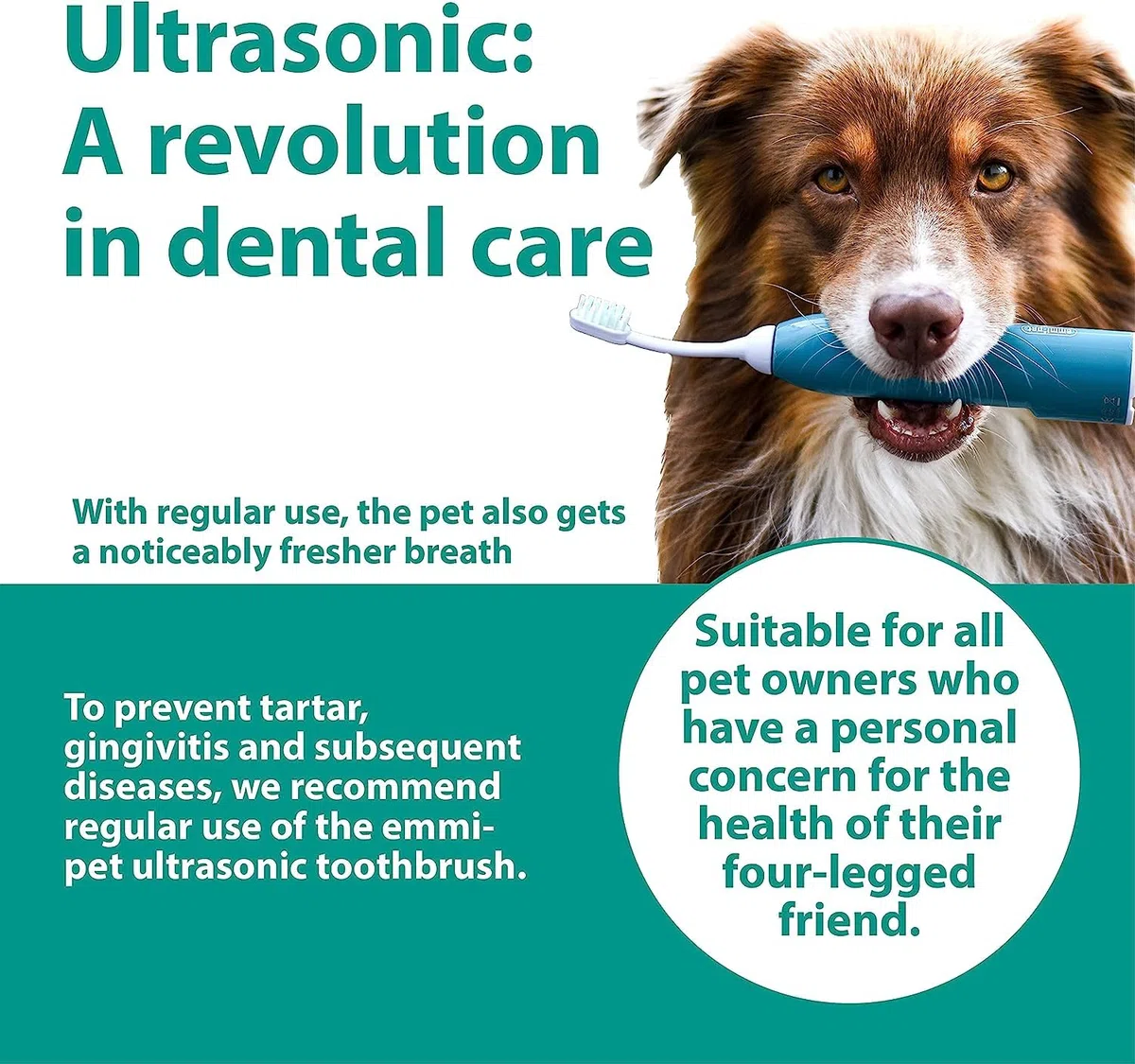 emmi-pet 3x Pasta Dental para Perros para Cepillos de Ultrasonido, Adecuada para Todas las Razas de Perros de Cualquier Tamaño y Edad, Vegana, sin titanio, sorbitol, flúor y parabenos 75 ml