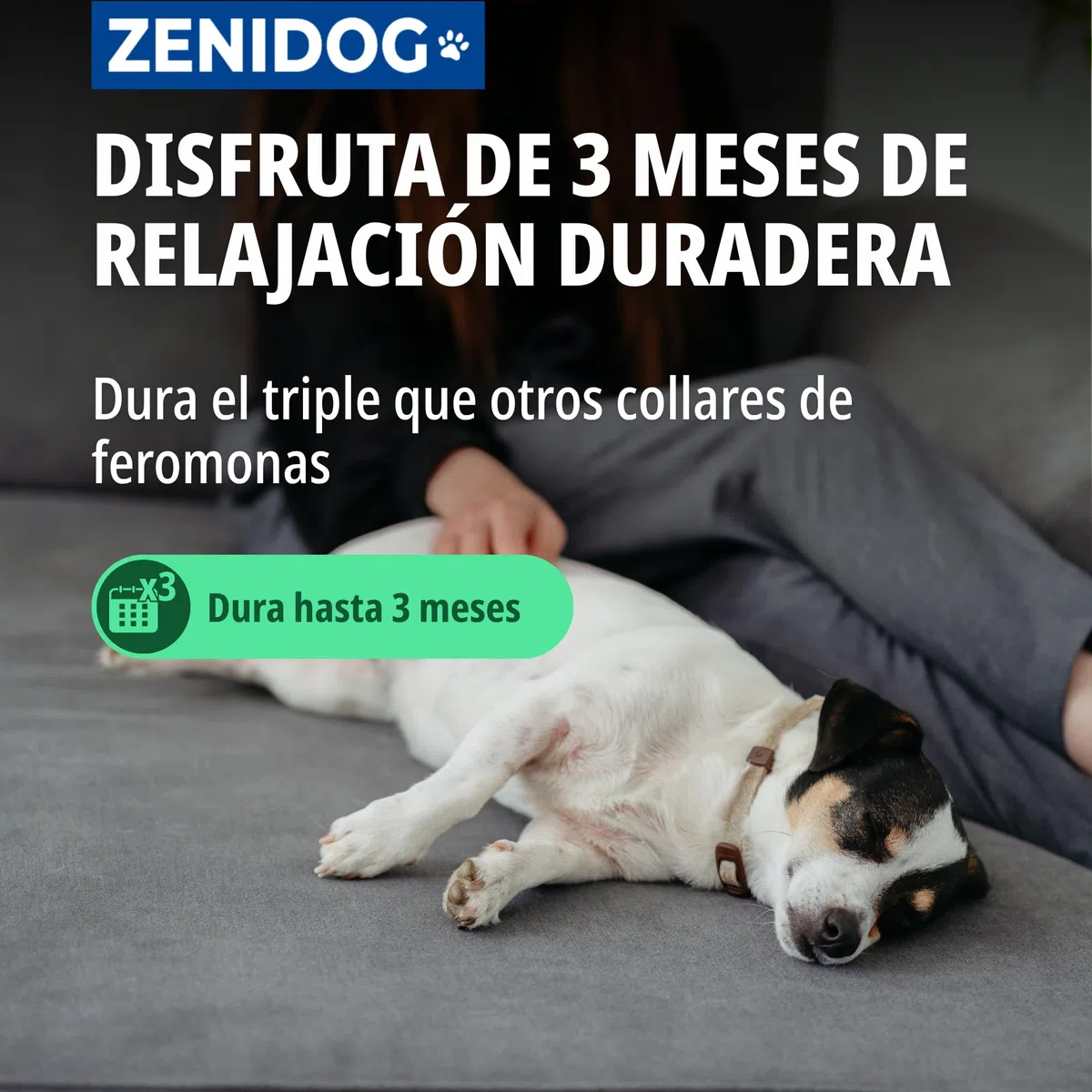 Virbac Zenidog Collar Calmante Perros Pequeños y Cachorros - Antiestrés con Feromonas - Dura 3 Meses - Talla S - 39cm