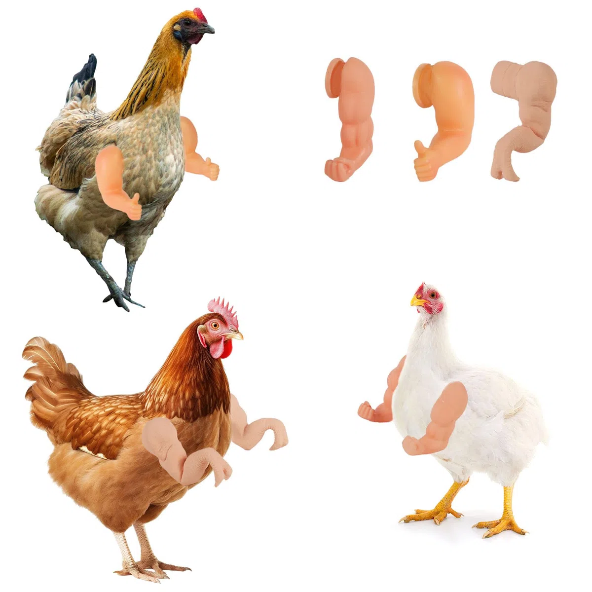 3uds Brazos de Pollo, Músculos Fuertes y Pulgares hacia Arriba Brazos de Dinosaurio T-Rex para Poner en Pollos Disfraz Divertido Mascotas para Fiestas Sesiones Fotos y Bromas