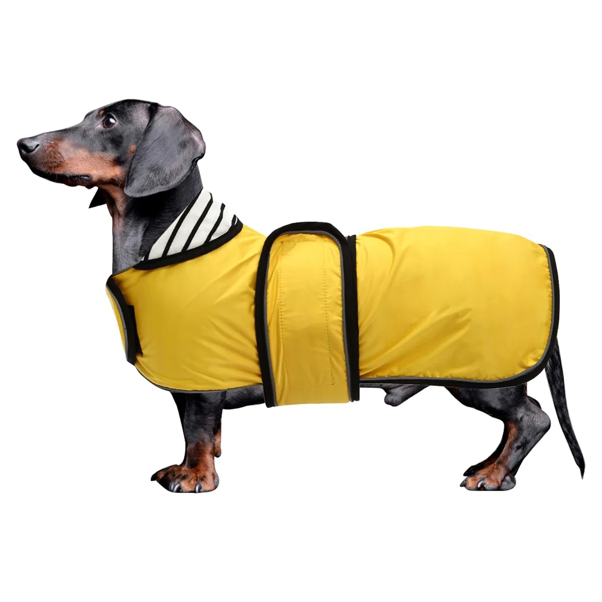 MOREZI Impermeable Elegante para Perros. Impermeable y Resistente a la Lluvia. con Bandas Reflectantes y Correas Ajustables. Adecuado para Perros salchichetes-Amarillo-S
