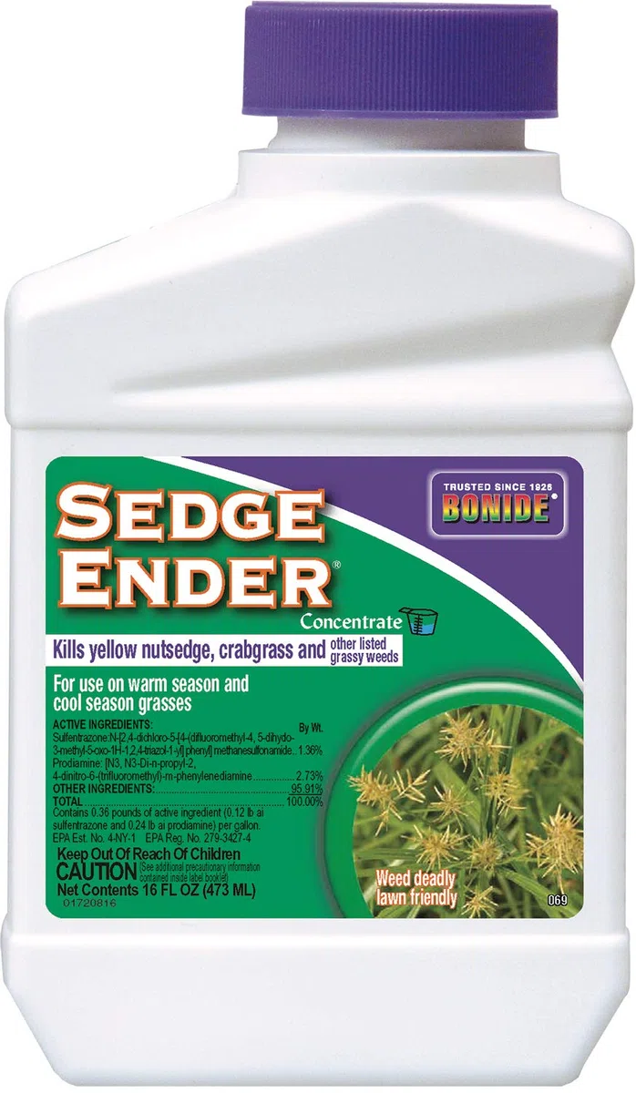 Sedge Ender Concentrado