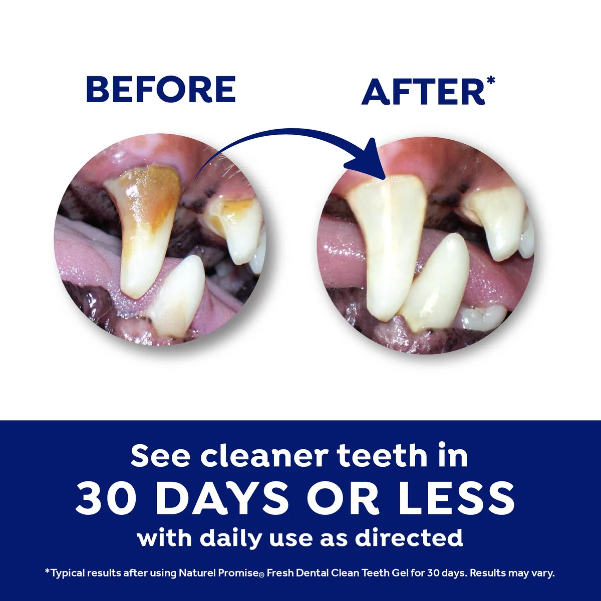 Naturel Promise Fresh Dental Clean Gel for Dogs/Cats, 112mL (4-Ounce)