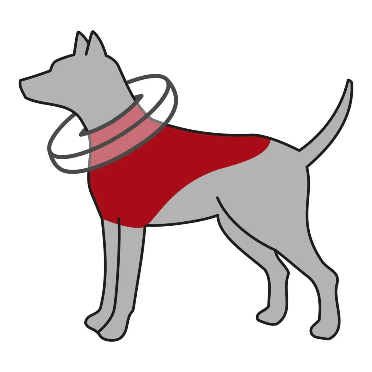 TRIXIE Collar Protector, inflable para Perros