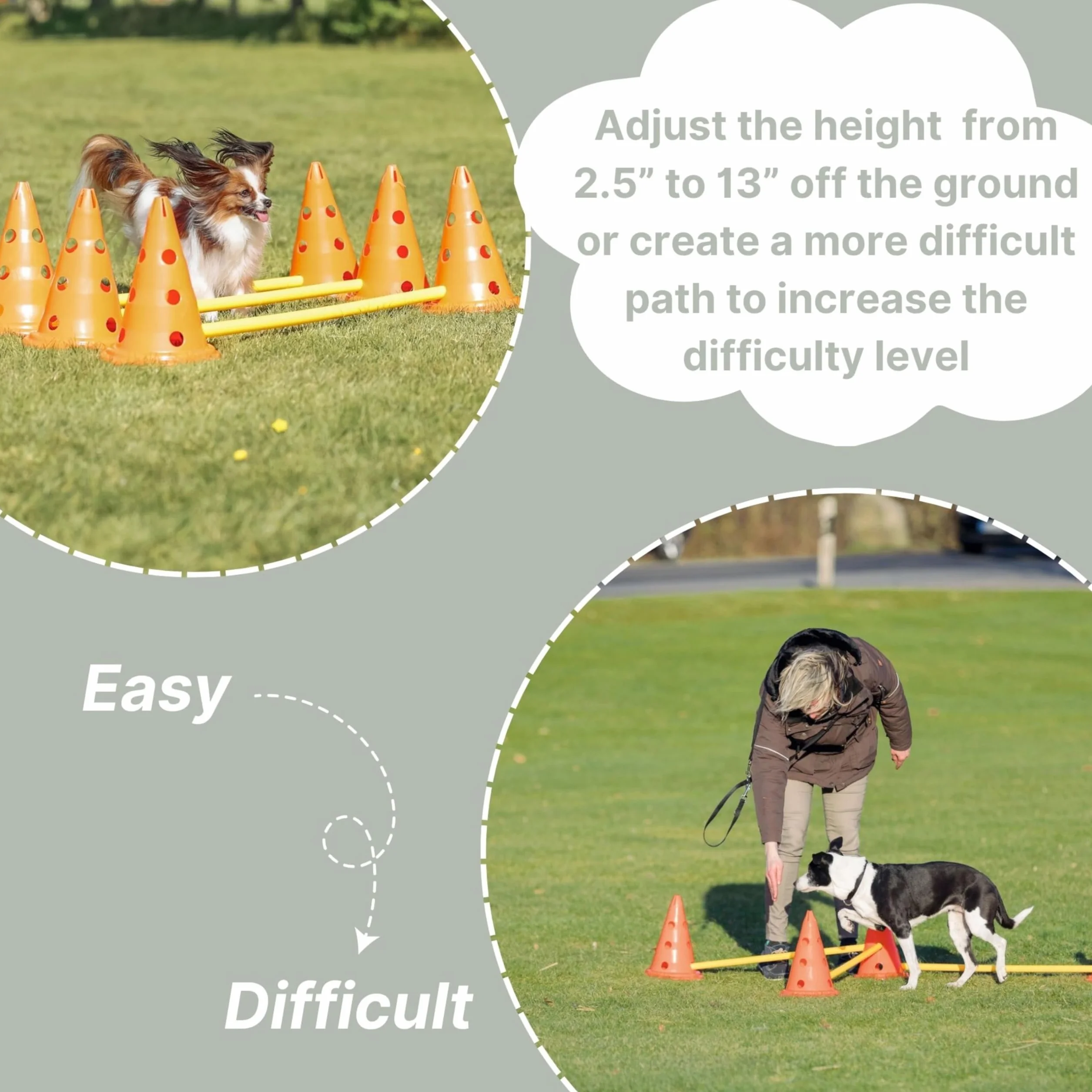 TRIXIE Set de Obstáculos para Perros