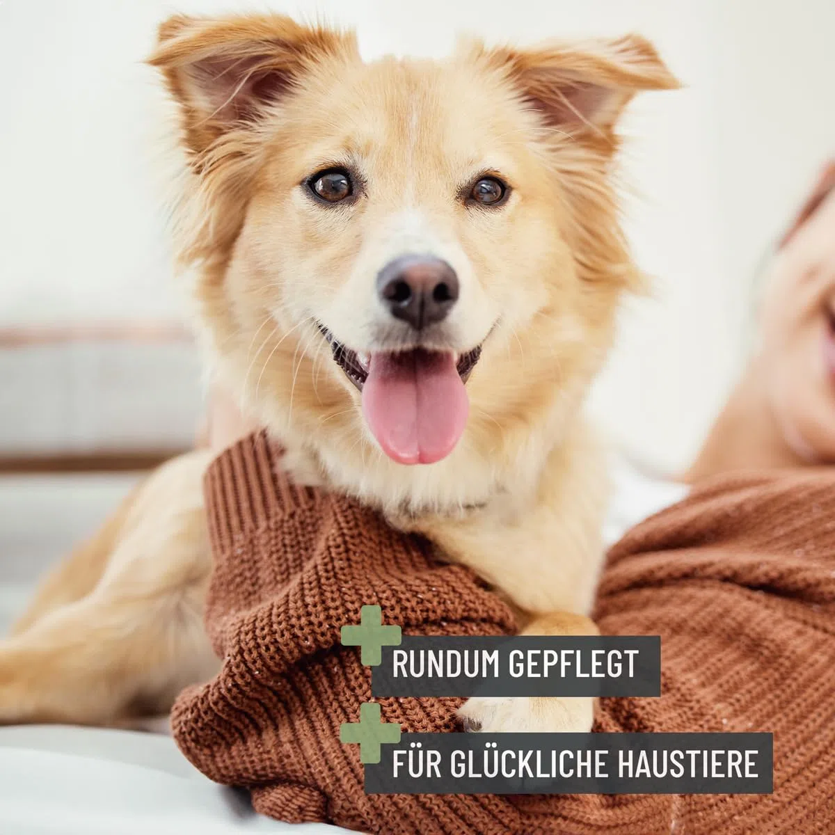 ReaVET Peine de pelo 2 en 1 para perros y gatos con pelo medio a largo I peine doble, ideal para resolver nudos y enredos, peine para perros, gatos, peine para gatos para el cuidado diario del pelaje