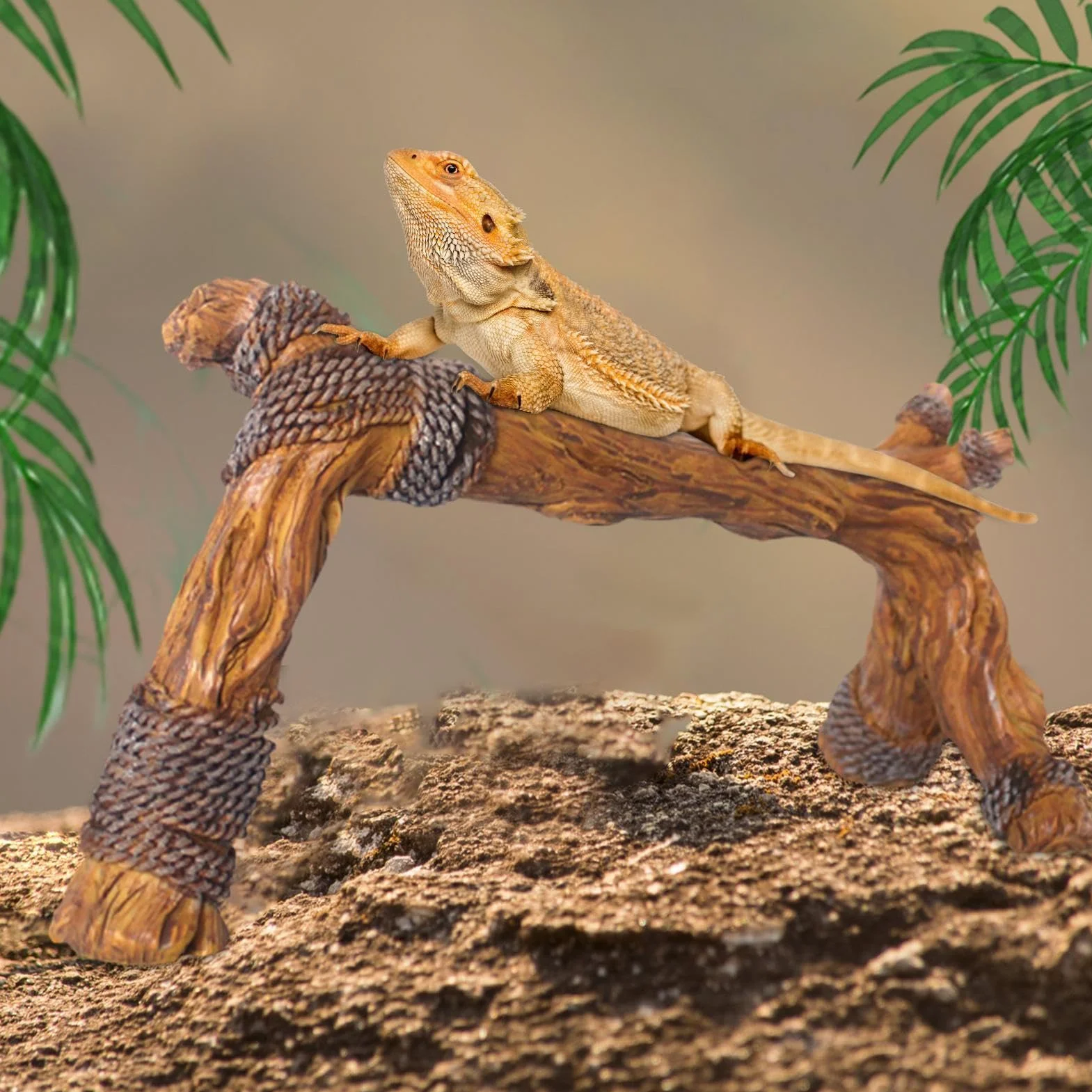 Decoración de ramas de madera de reptiles, decoración de hábitat de , accesorios de rama de escalada de serpiente, accesorios de terrario, árbol, tronco, adorno para dragón barbudo, , rana,