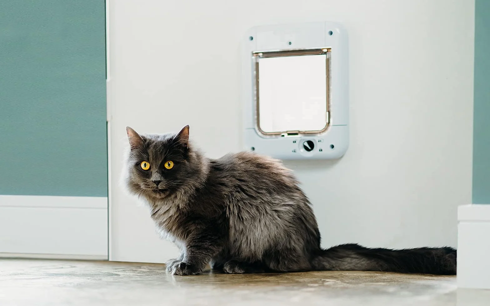 Cat Mate Puerta para Gatos Activada con Microchip para Gatos y Perros Pequeños, Fácil Instalación en Puertas de UPVC, Vidrio y Puertas de Madera