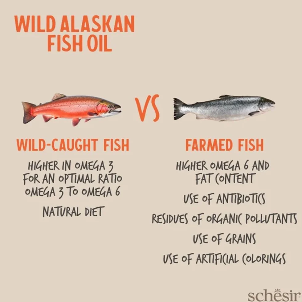 Aceite de Pescado Salvaje de Alaska Grizzly de Schesir 1000 ML
