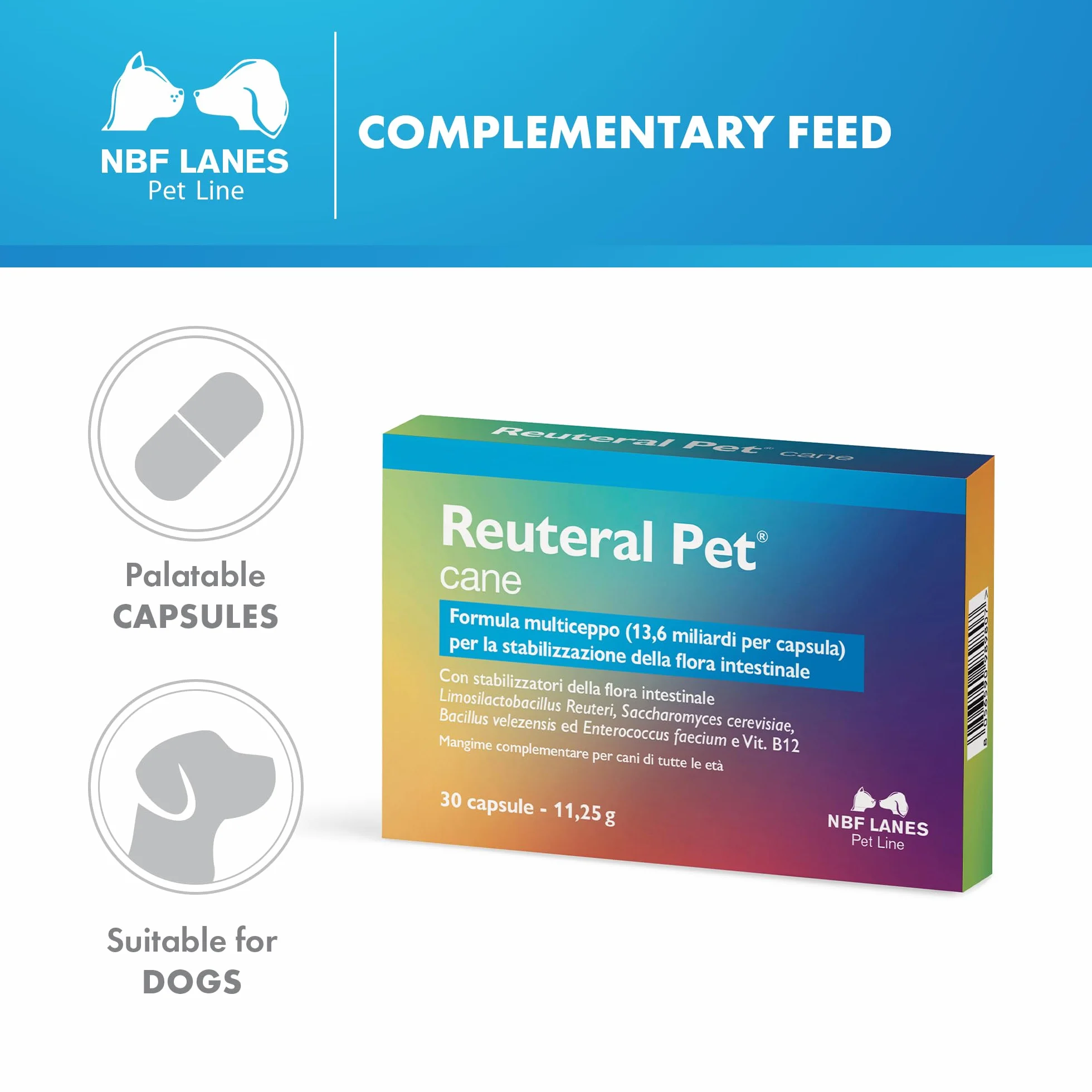 NBF Lanes | Reuteral Pet Cane, 30 Cápsulas, Probiótico a Base de fermentos lácticos Vivos para la estabilización de la Flora intestinal en Perros