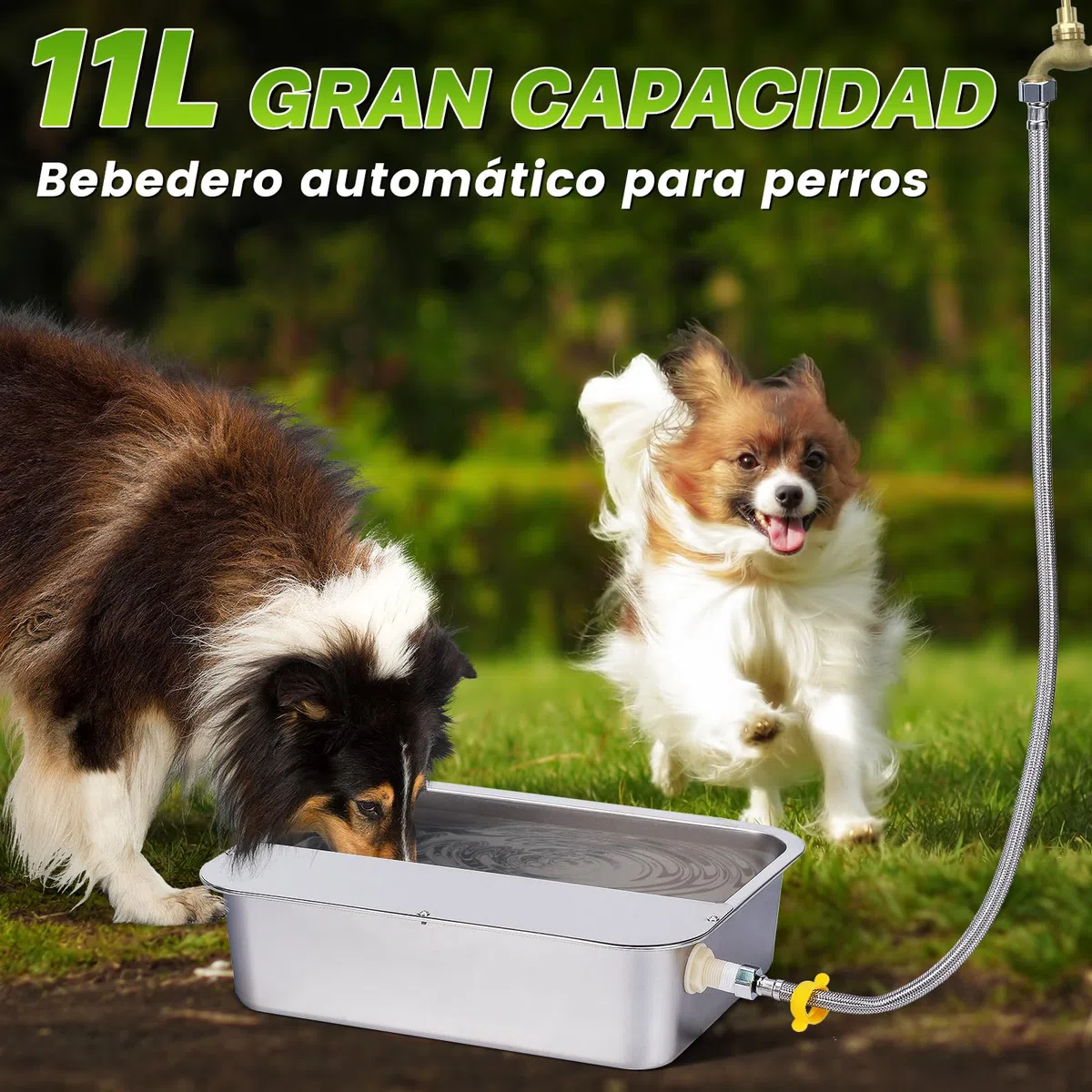 Dispensador Automático de Agua para Perros de 11L con Válvula Flotante, Bebedero para canino al Aire Libre para Dos Chucho, Cuenco de Agua para Perros de Gravedad de Acero Inoxidable (Autocompletar)