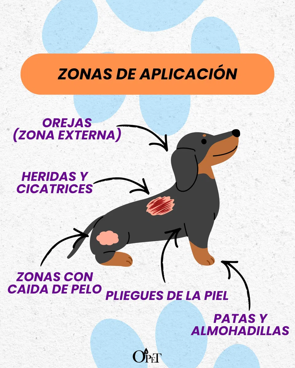 Aceite Ozonizado IP800 Perros Gatos - Problemas Piel Persistentes y Recurrentes - Dermatitis Otitis Heridas - Potencia Profesional Natural - 30ml