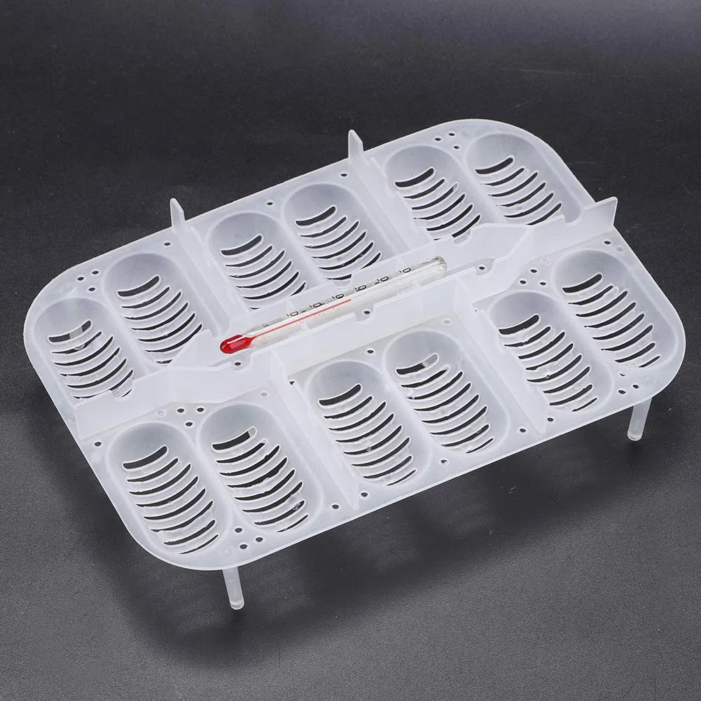 2 Cajas de incubación para Reptiles, Bandeja Profesional de plástico Transparente para cría de lagartos y Reptiles, incubadora de Huevos para Geckos y Serpientes.