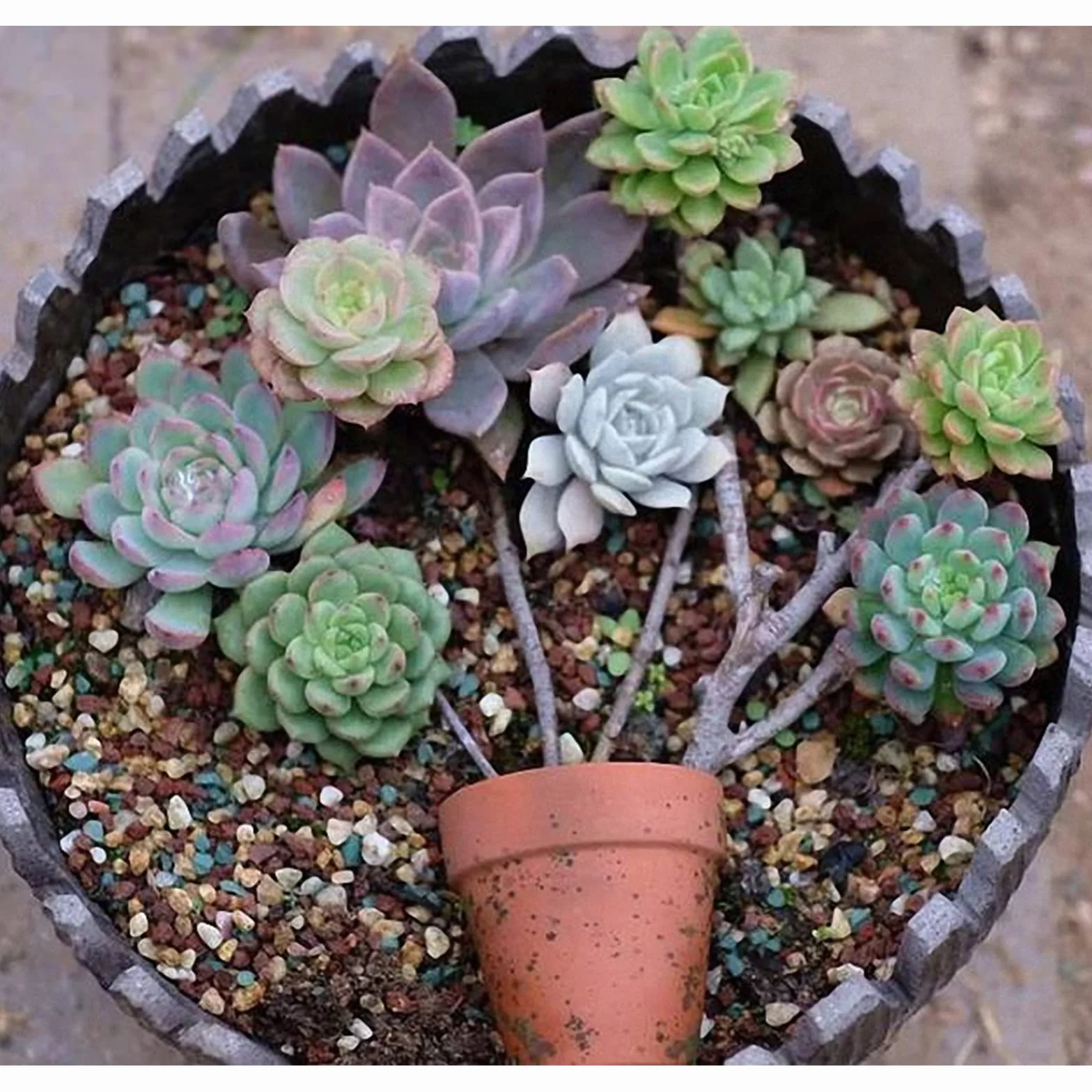 YUNSTK Mezcla de roca de lava hortícola, cactus suculento natural en maceta bonsái para jardín, grava, aderezo decorativo, para interiores, tanque de peces, 2.2 libras
