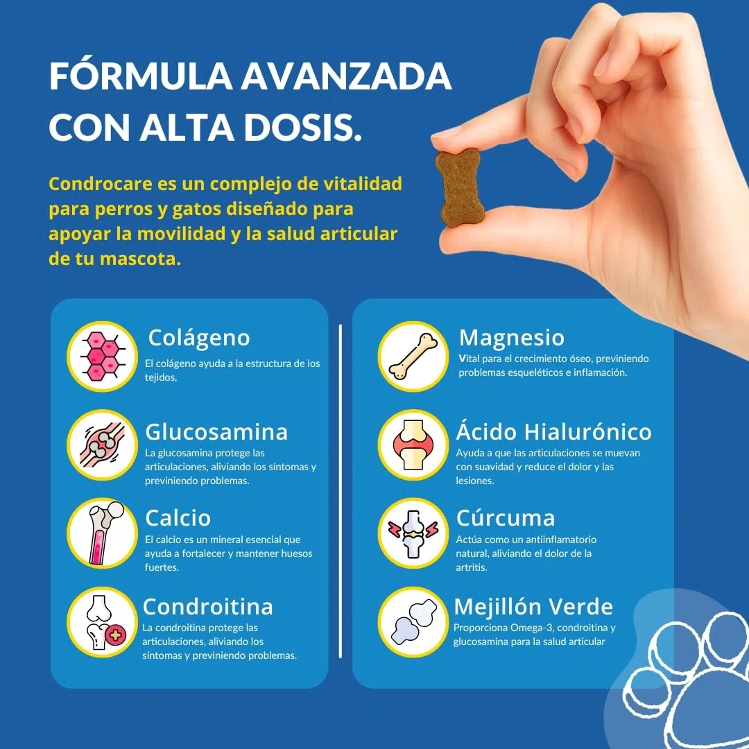 Condroprotector Perros 360 Uds (1 Año) Colágeno Magnesio y Calcio, Mantenimiento Articular, Glucosamina, Condroitina, Cúrcuma, Vitality Complex para Movilidad, Huesos. Faucare