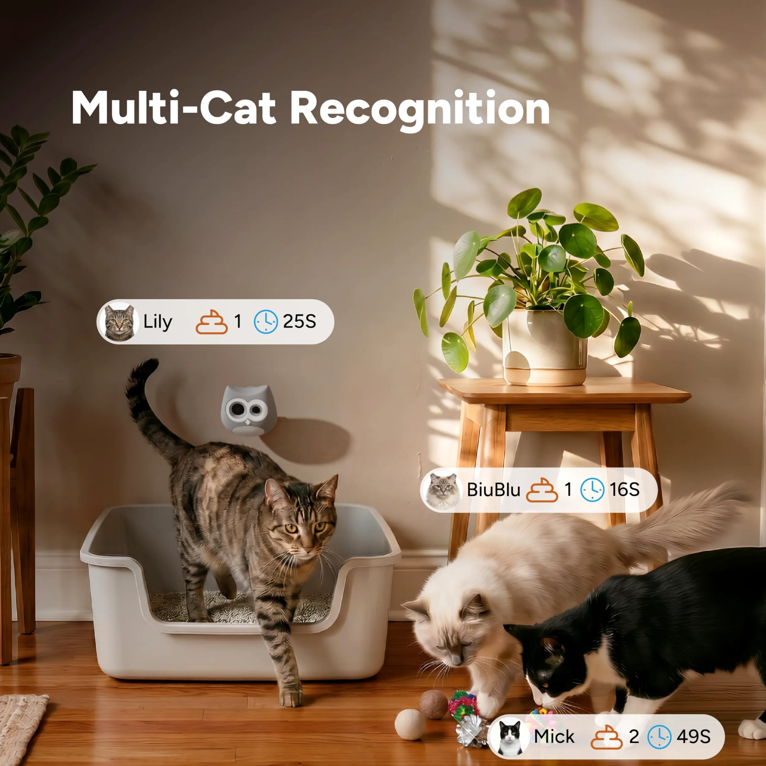 Cámara para gatos con IA - Monitoreo de caja de arena, cámara para mascotas con aplicación de teléfono para interiores, seguimiento de la salud de varios gatos, alertas tempranas de infección