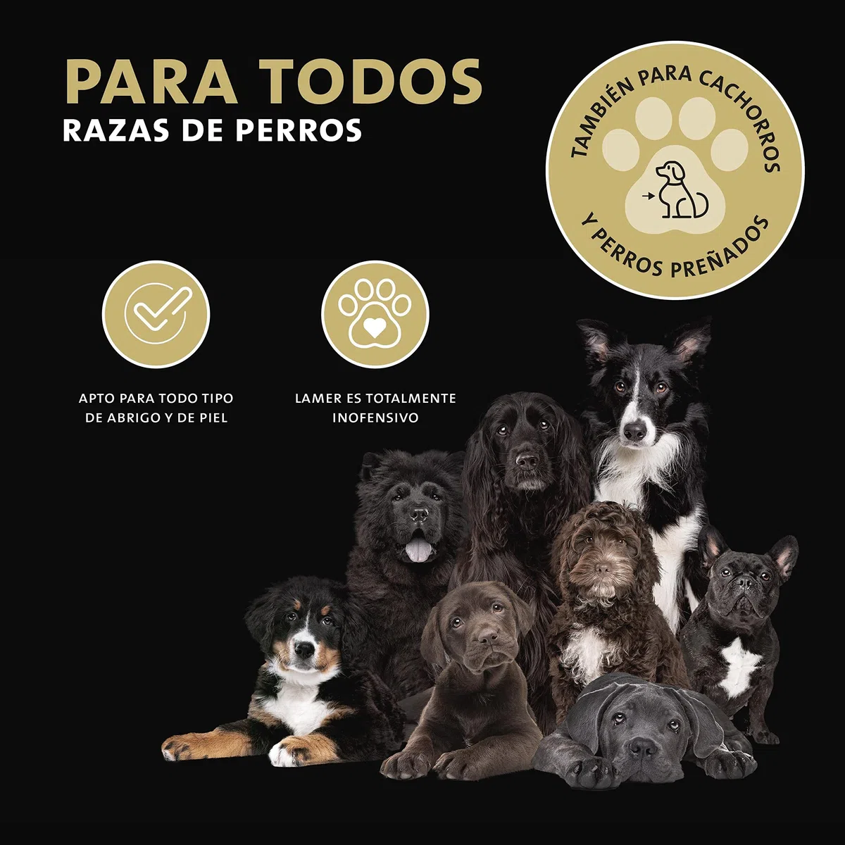 Peticare Polvo para Cuidado de Heridas en Caballos, Perros, Gatos - Detiene Picor de Piel, Promueve Curación, Tratamiento contra Mordedura, Zeolita, Ingredientes eficaces - petAnimal Health 2106