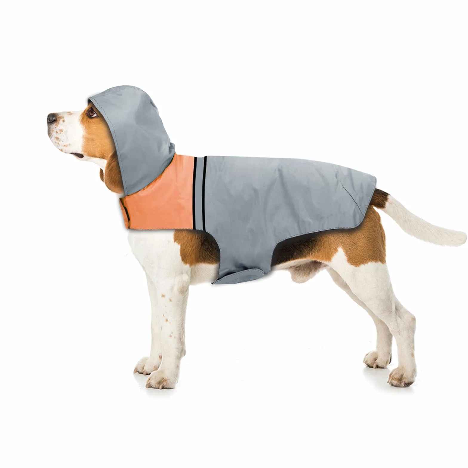Impermeable para Perros con Capucha y Tiras reflectoras seguras, Chubasquero de Perro Ultra-Light Transpirable, Chubasquero para Perros Mascotas para Perro Pequeño Mediano y Grande (Medium)