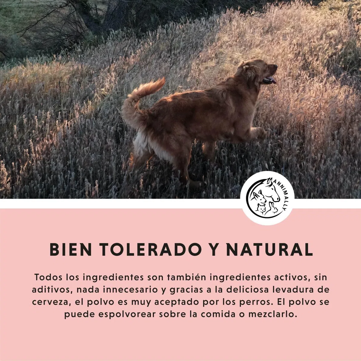 Annimally Complemento Alimenticio para Perros con Aceite de Comino Negro, Cistus, Levadura de Cerveza y Algas Marinas – Fórmula Natural en Polvo de Fácil Administración para Piel y Pelaje - 400 g