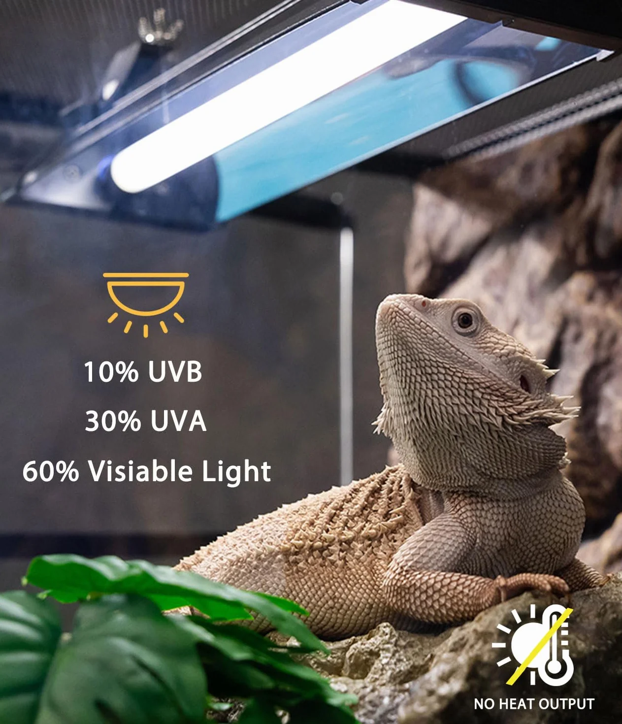 Kit combinado de lámparas T5 UVB para reptiles – 12 pulgadas 8 W, campana de terrario 10.0 UVA UVB foco con reflector de alta eficiencia para reptiles y anfibios del desierto (dragones