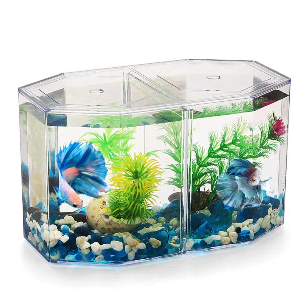 UKCOCO Caja De Criador Transparente para Peceras De Pez Betta Y Peces Pequeños 7.87X4.72X4.33 Pulgadas con Separadores Dobles Acrílico Seguro para Aislamiento Y Reproducción