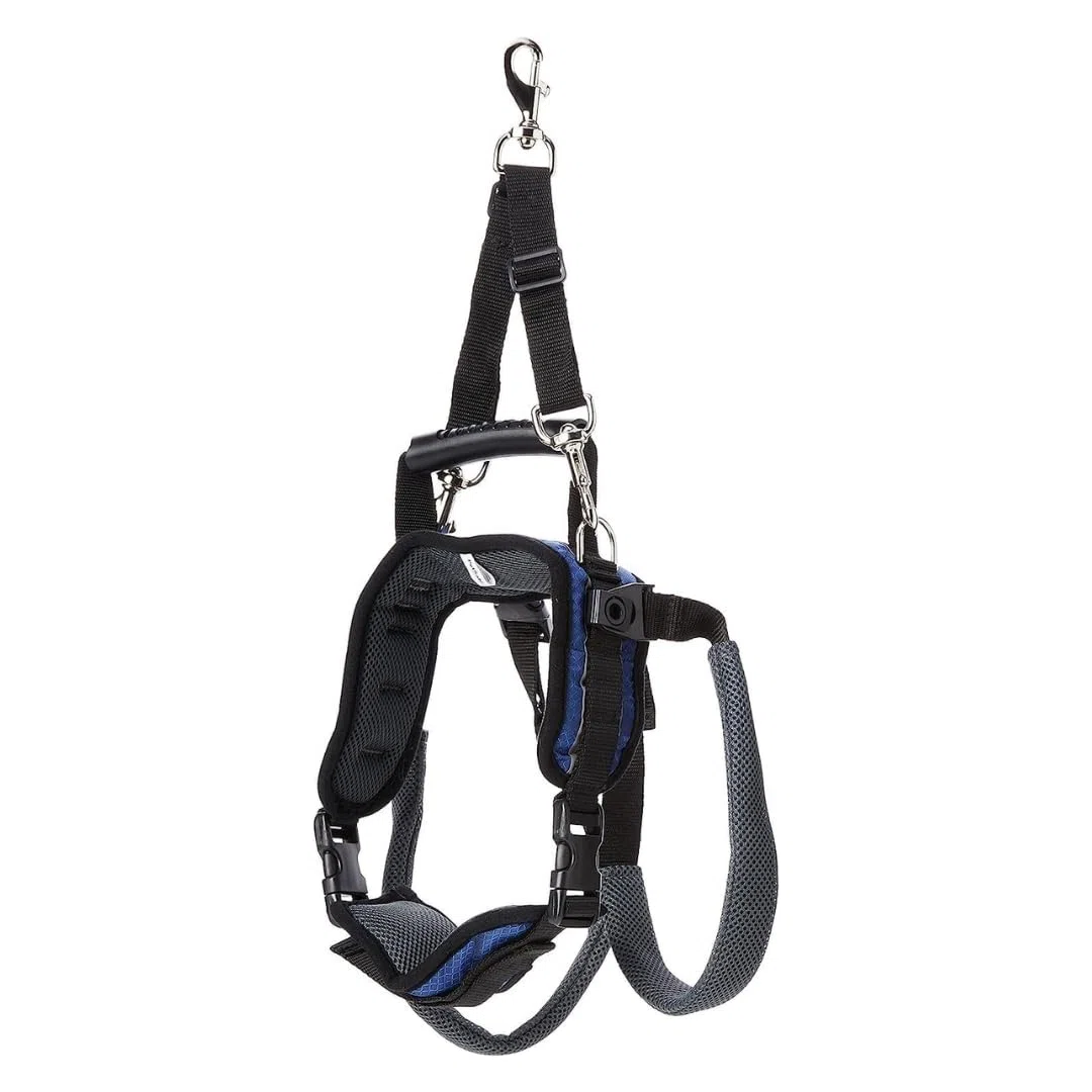 PetSafe CareLift Arnés de Elevación Trasera para Perros, Arnés de Soporte con Asa y Correa, Perros Discapacitados o Ancianos, Material Transpirable y Cómodo, Fácil Ajuste, Perro Grande