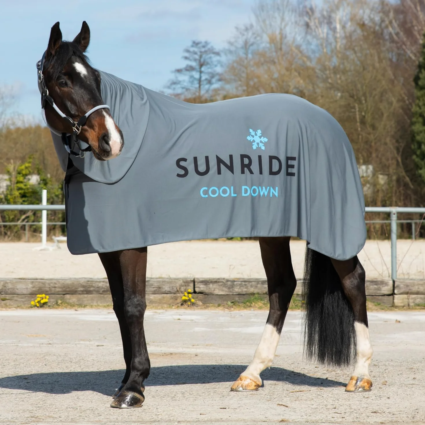 SUNRIDE Manta refrigerante con sección para el Cuello Cool Down (Juego de 3) - para Caballos - Efecto refrigerante eficaz - Cierre magnético - fácil de Usar (165 cm)