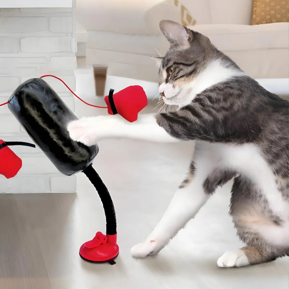 Saco de boxeo para gatos, divertidos sacos de boxeo con guantes de boxeo, juego para todos (A)